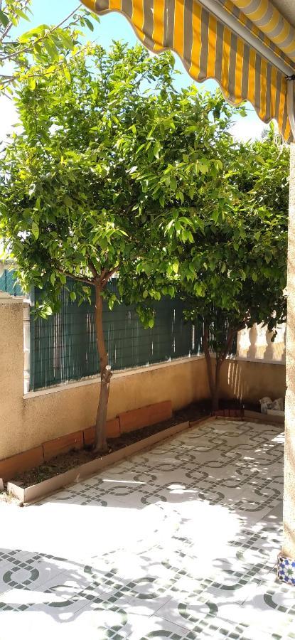 Apartement A La Mata Торевиеха Екстериор снимка